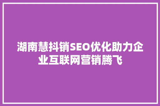 湖南慧抖销SEO优化助力企业互联网营销腾飞