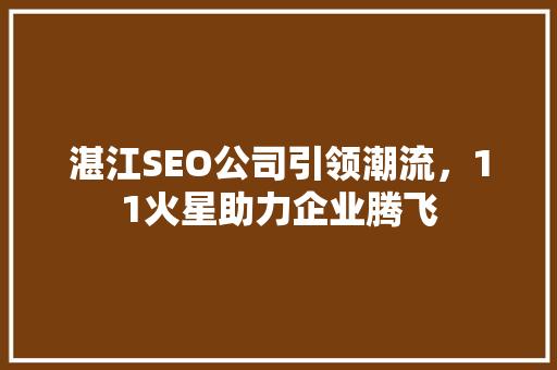湛江SEO公司引领潮流，11火星助力企业腾飞
