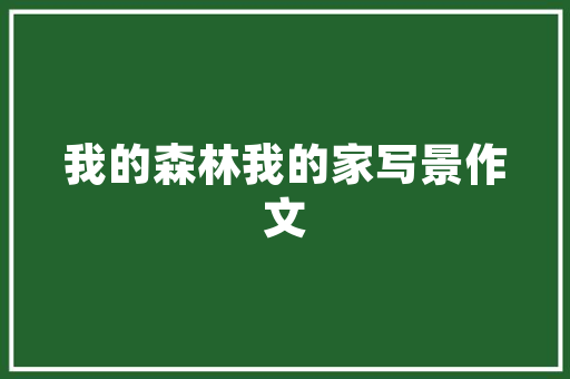 儿代码未来编程的基石与挑战