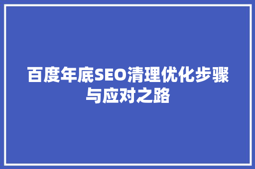 百度年底SEO清理优化步骤与应对之路