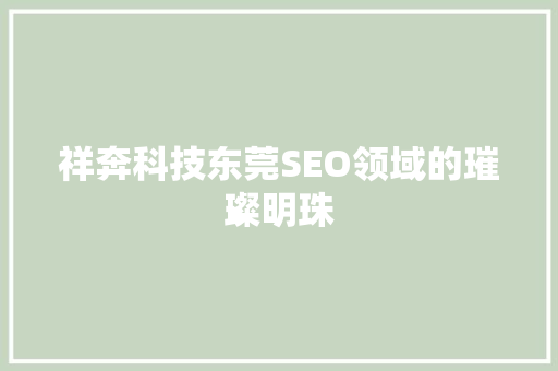 祥奔科技东莞SEO领域的璀璨明珠