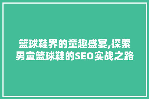 篮球鞋界的童趣盛宴,探索男童篮球鞋的SEO实战之路