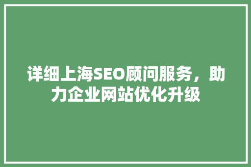 详细上海SEO顾问服务，助力企业网站优化升级