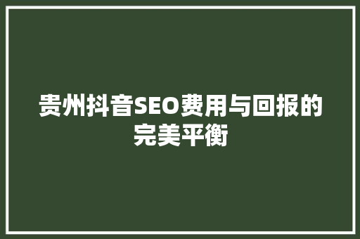 贵州抖音SEO费用与回报的完美平衡