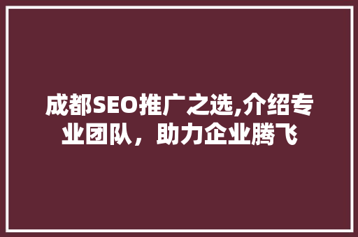 成都SEO推广之选,介绍专业团队，助力企业腾飞