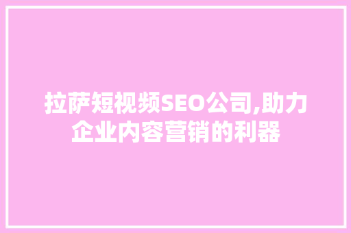 拉萨短视频SEO公司,助力企业内容营销的利器