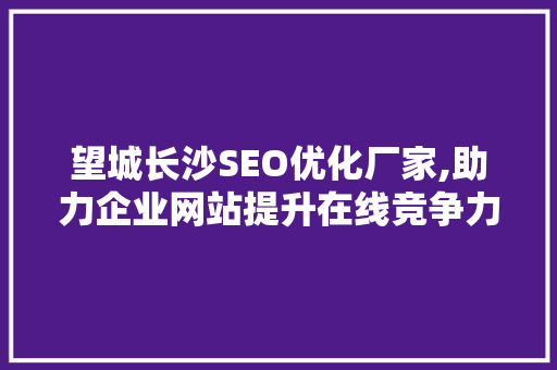 望城长沙SEO优化厂家,助力企业网站提升在线竞争力