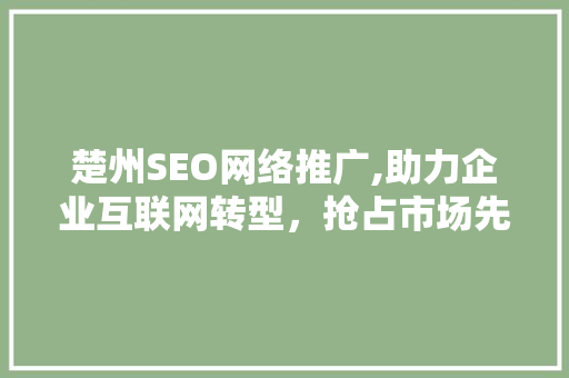 楚州SEO网络推广,助力企业互联网转型，抢占市场先机