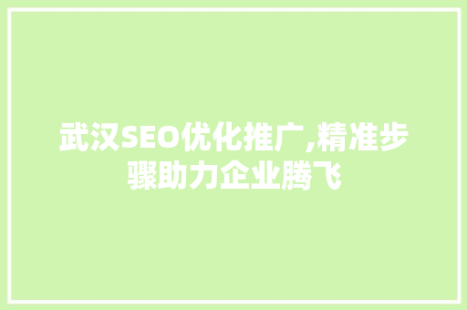 武汉SEO优化推广,精准步骤助力企业腾飞