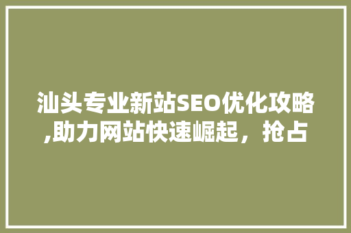 汕头专业新站SEO优化攻略,助力网站快速崛起，抢占市场先机