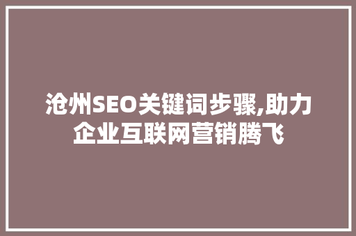 沧州SEO关键词步骤,助力企业互联网营销腾飞