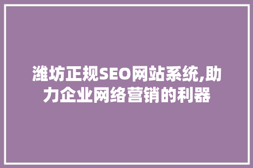 潍坊正规SEO网站系统,助力企业网络营销的利器