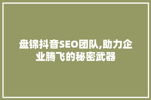 盘锦抖音SEO团队,助力企业腾飞的秘密武器