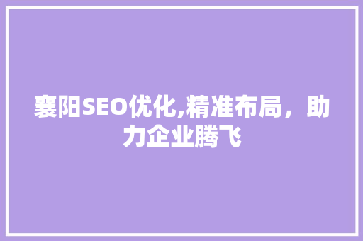 襄阳SEO优化,精准布局，助力企业腾飞