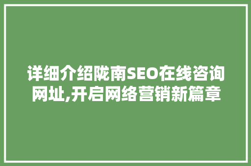 详细介绍陇南SEO在线咨询网址,开启网络营销新篇章