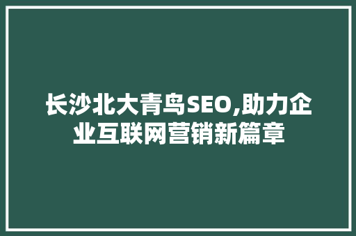 长沙北大青鸟SEO,助力企业互联网营销新篇章