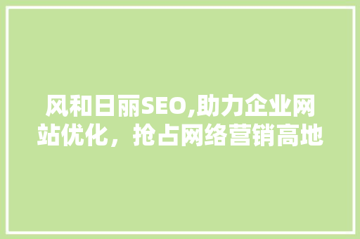风和日丽SEO,助力企业网站优化，抢占网络营销高地
