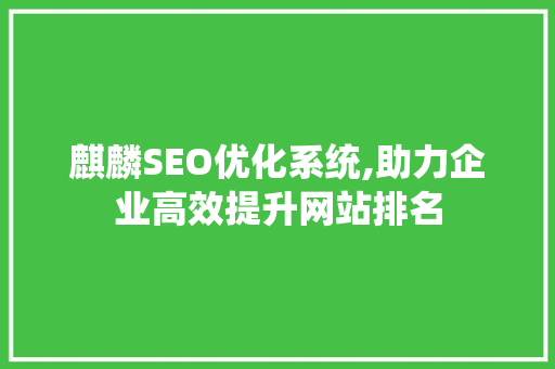 麒麟SEO优化系统,助力企业高效提升网站排名