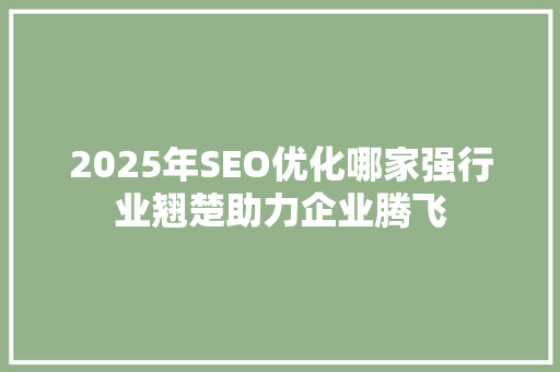 2025年SEO优化哪家强行业翘楚助力企业腾飞