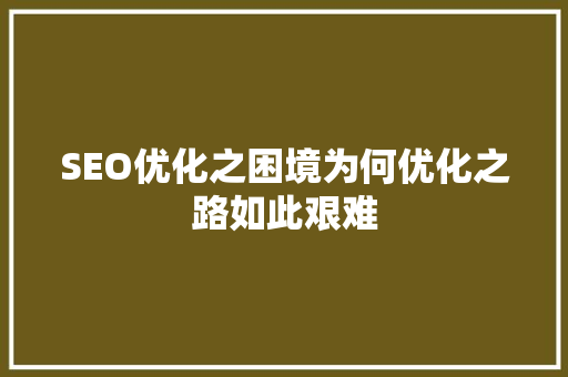 SEO优化之困境为何优化之路如此艰难