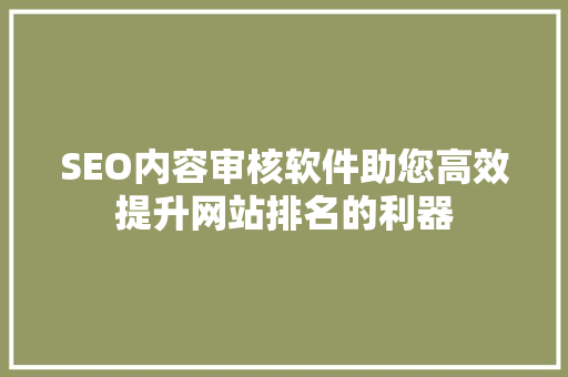 SEO内容审核软件助您高效提升网站排名的利器