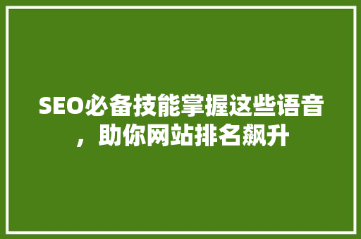 SEO必备技能掌握这些语音，助你网站排名飙升