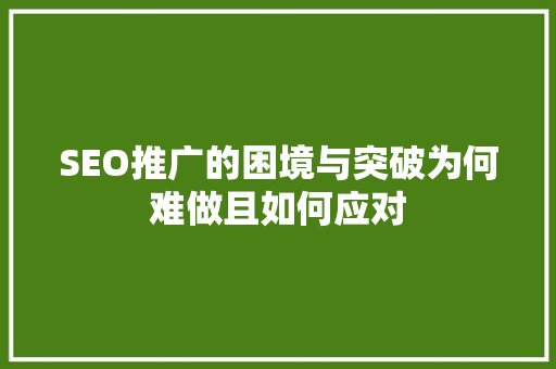 SEO推广的困境与突破为何难做且如何应对