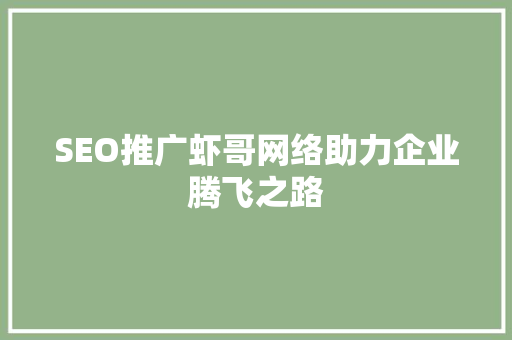 SEO推广虾哥网络助力企业腾飞之路