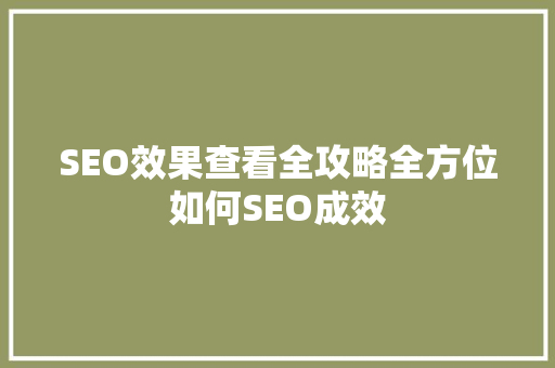 SEO效果查看全攻略全方位如何SEO成效