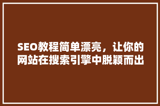 SEO教程简单漂亮，让你的网站在搜索引擎中脱颖而出
