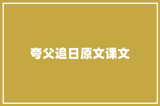 企事业代码企业数字化转型的重要基石