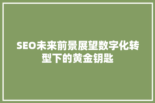 SEO未来前景展望数字化转型下的黄金钥匙