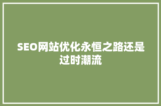 SEO网站优化永恒之路还是过时潮流