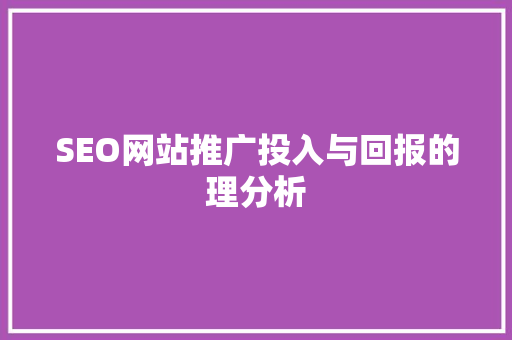 SEO网站推广投入与回报的理分析