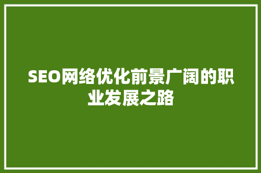 SEO网络优化前景广阔的职业发展之路
