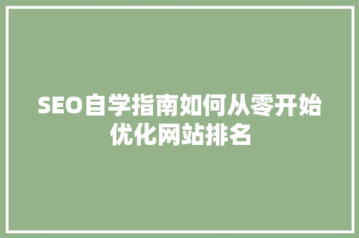 SEO自学指南如何从零开始优化网站排名