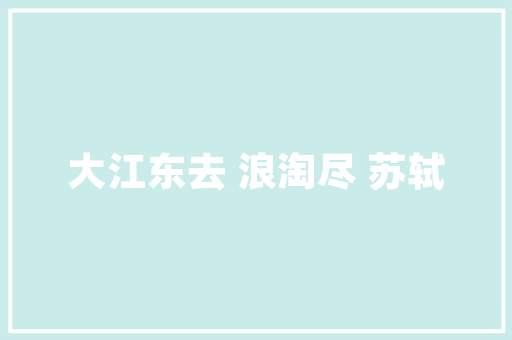宁波抖音SEO代运营助力企业品牌在短视频平台脱颖而出