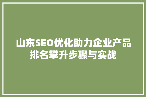 山东SEO优化助力企业产品排名攀升步骤与实战