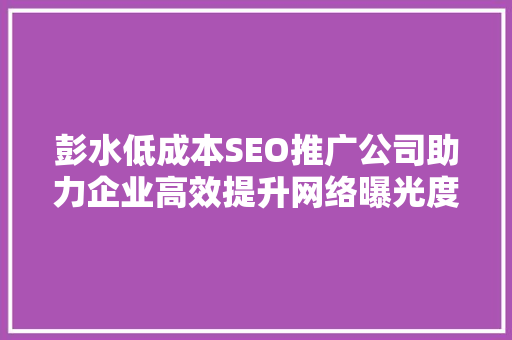 彭水低成本SEO推广公司助力企业高效提升网络曝光度