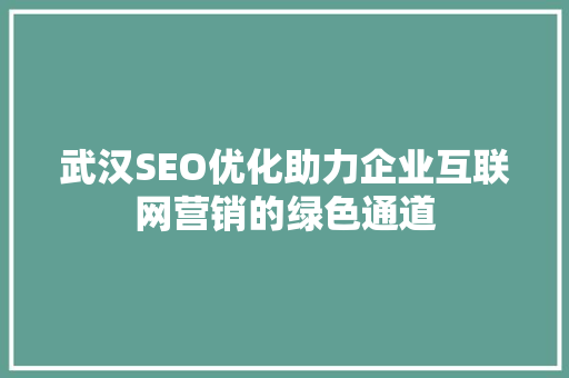 武汉SEO优化助力企业互联网营销的绿色通道