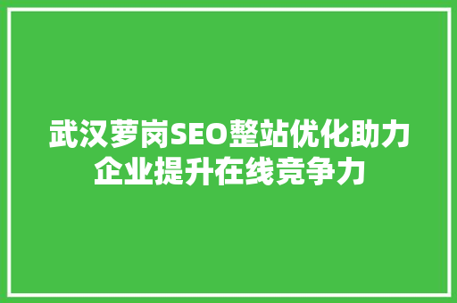 武汉萝岗SEO整站优化助力企业提升在线竞争力