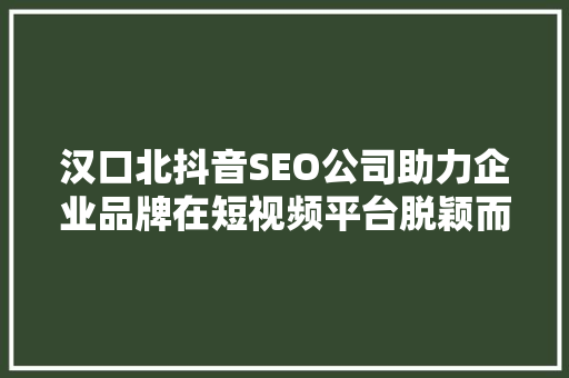 汉口北抖音SEO公司助力企业品牌在短视频平台脱颖而出
