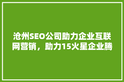 沧州SEO公司助力企业互联网营销，助力15火星企业腾飞