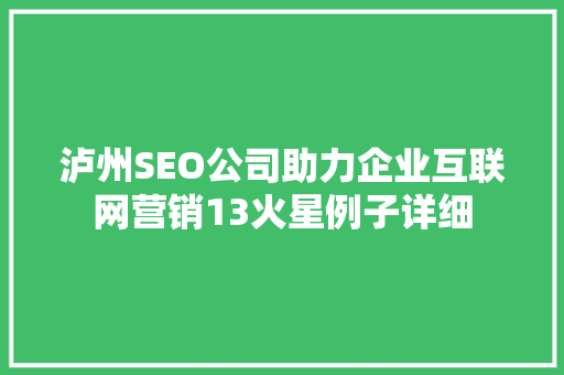 泸州SEO公司助力企业互联网营销13火星例子详细