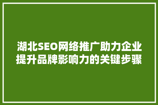 湖北SEO网络推广助力企业提升品牌影响力的关键步骤