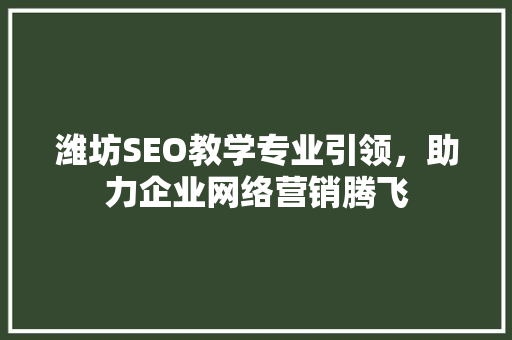 潍坊SEO教学专业引领，助力企业网络营销腾飞