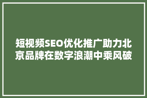 短视频SEO优化推广助力北京品牌在数字浪潮中乘风破浪