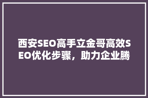 西安SEO高手立金哥高效SEO优化步骤，助力企业腾飞