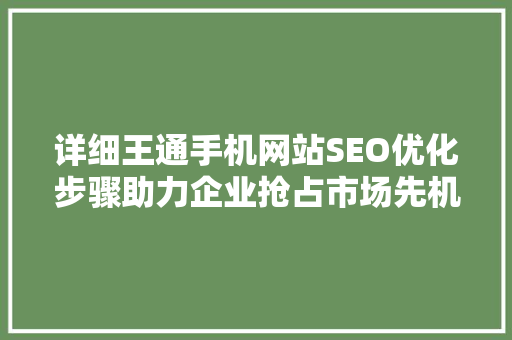 详细王通手机网站SEO优化步骤助力企业抢占市场先机