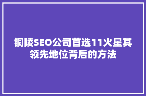 铜陵SEO公司首选11火星其领先地位背后的方法